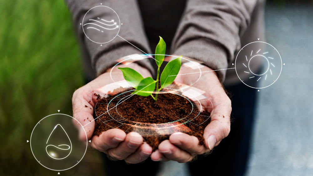Sustainability - Maharshi Keshvananda