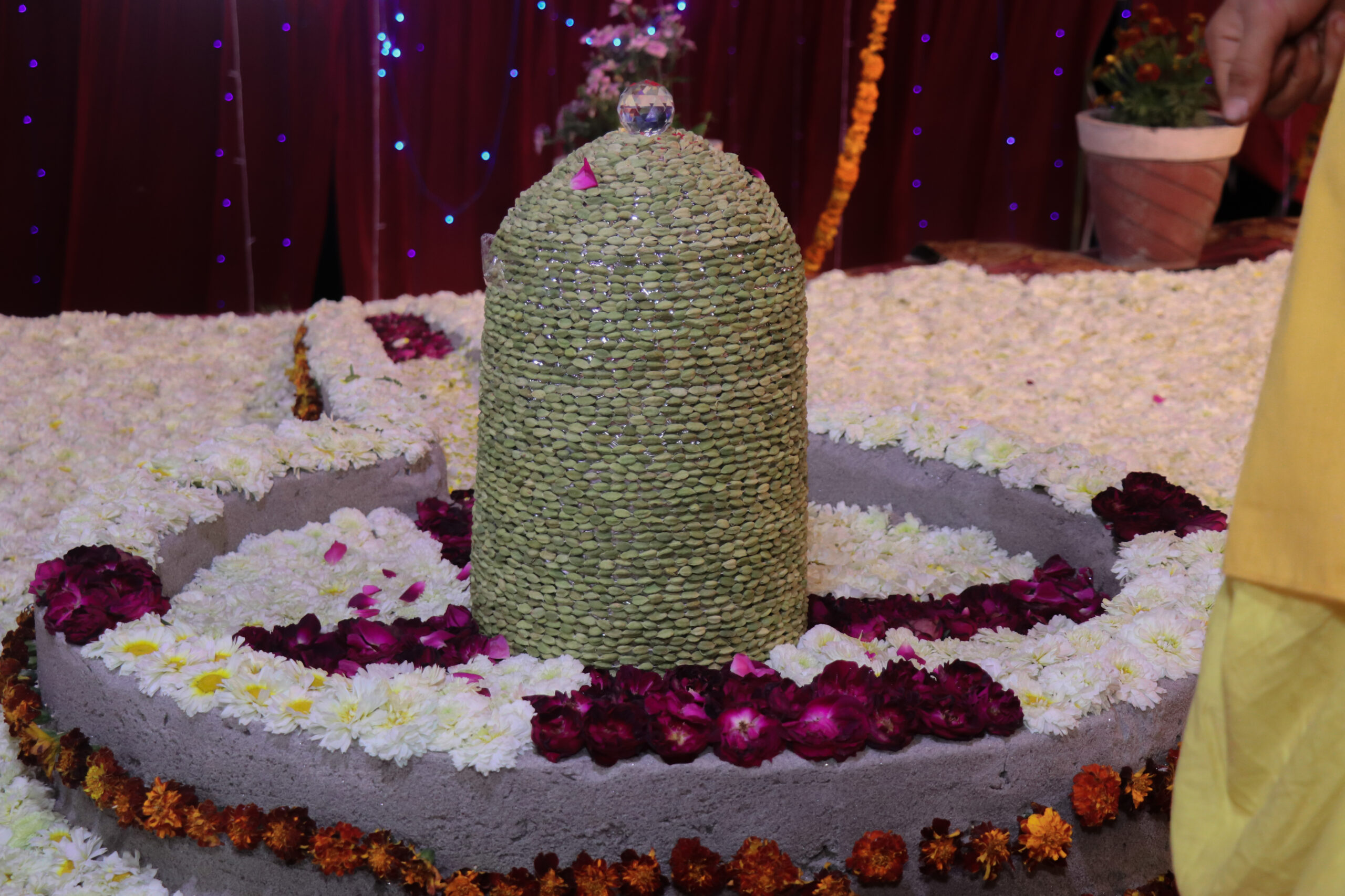 Maharshi Keshvananda MahaShivratri Parthiv Shivling Haridwar